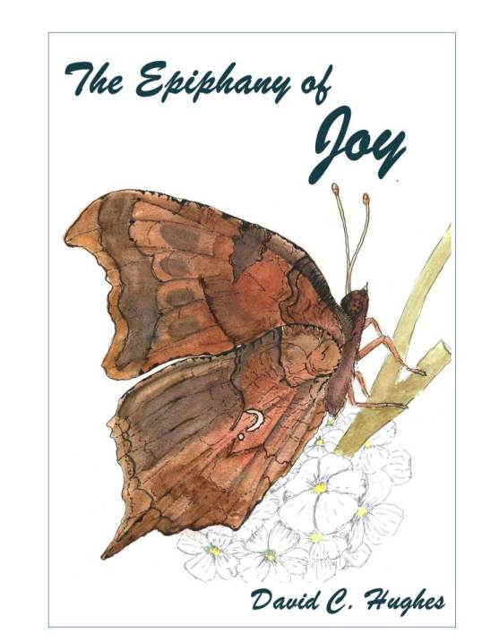 Front Cover Concept for The Epiphany of Joy