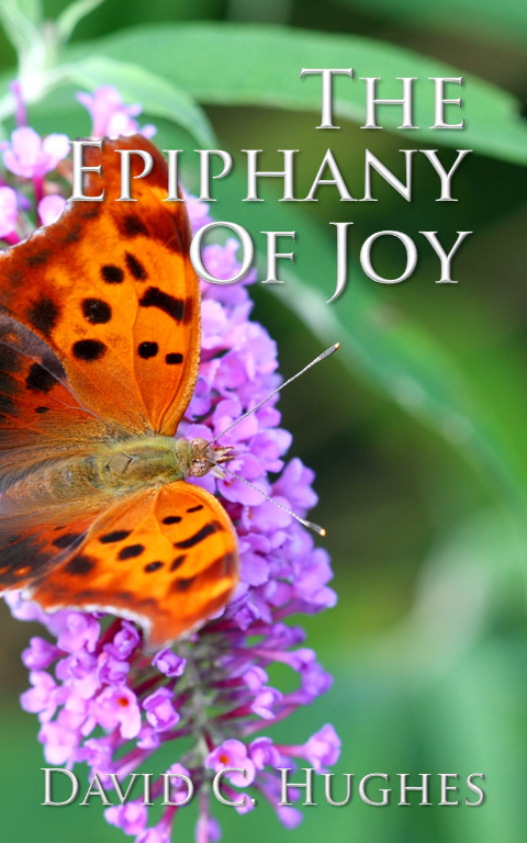 The Epiphany of Joy, The search for joy, Joy