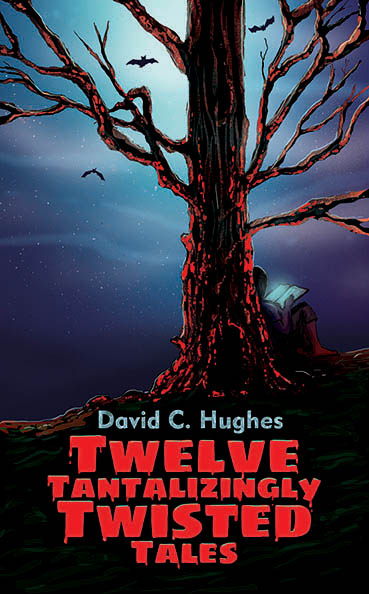 Twelve Tantalizingly Twisted Tales, David C. Hughes