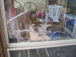 David C. Hughes, Author