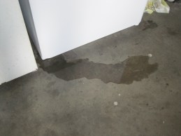 David C. Hughes, Author